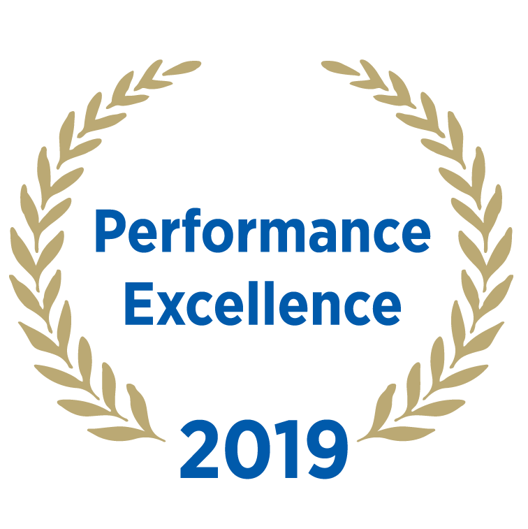 2019 Performance Excellence